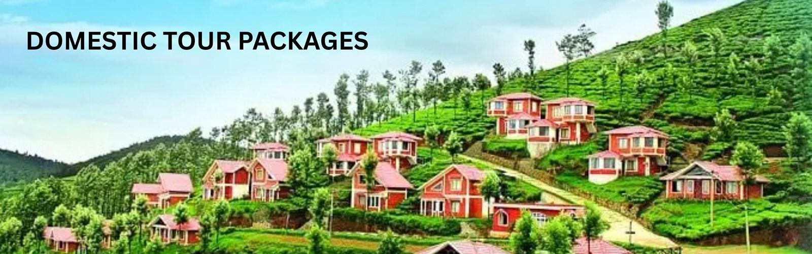 WhatsApp Image 2025-11-28 at 14.16.52_0e54707d